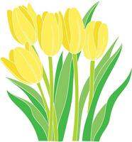 Illustration of yellow tulips flower on empty background. vector