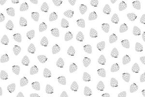 illustration pattern line of Artichoke on white background. vector