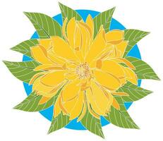 Illustration of Yellow Champaka blooming flower with leaf on blue circle background vector