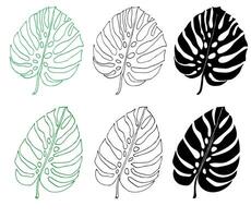 Monstera line and silhouette set of tropical leaves, greenery design element vector