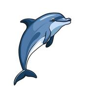 illustration of a cute dolphin jumping vector