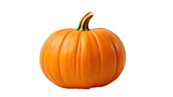 AI generated Close up photo of one fresh, tasty, orange and big pumpkin. Transparent PNG inside