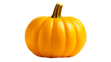 AI generated Close up photo of one fresh, tasty, orange and big pumpkin. Transparent PNG inside