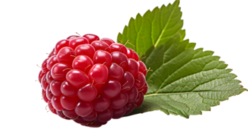 AI generated Close up photo of a handful of fresh and delicious raspberry. Transparent PNG inside