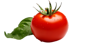 AI generated Close up photo of one ripe, tasty, red, perfect tomato with water drops. Transparent PNG inside