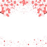 Sakura Flowers Frame. Cherry Blossom With Pink Flower Border. Spring Floral Background. png