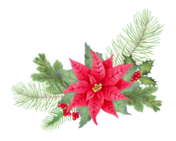 Natal ramalhete com poinsétia flor, azevinho bagas, pinho, abeto.floral clipart composição para cumprimento cartões, Novo ano design.marcador dentro aguarela estilo ilustração.feito à mão isolado arte. png