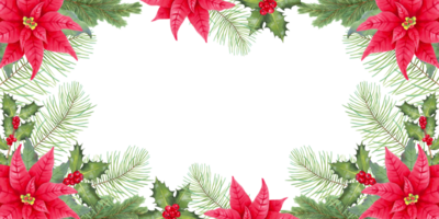Kerstmis horizontaal kader met kerstster bloem, pijnboom takken en hulst met rood bessen en plaats voor tekst.achtergrond voor kaarten, uitnodigingen.waterverf illustratie.hand getrokken geïsoleerd kunst. png