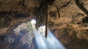 Sol luz é sombreamento através caverna às dia Tempo video