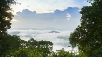 cloudy foggy landscape view above of mountain video