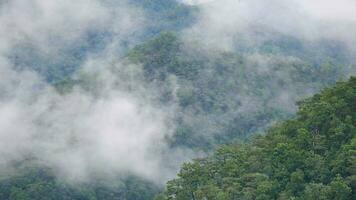 cloudy over the mountain green field video