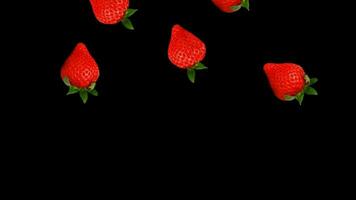 an illustrative video showing several strawberries falling from above on a black background. suitable for material or advertising related to food or drink