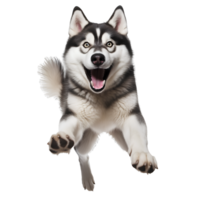 AI generated Cute and happy dog on transparent background PNG, easy to use. png