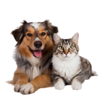 AI generated Cute and happy dog on transparent background PNG, easy to use. png