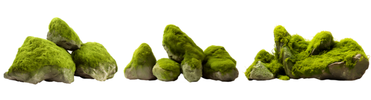 AI generated Mossy rock png