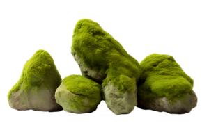 AI generated Mossy rock png