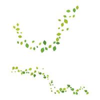 Leaf background icon illustration vector