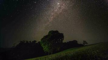 leitoso caminho e Estrela contra noite céu video