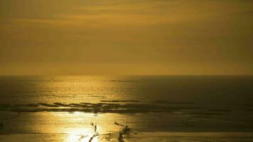 pôr do sol Visão em de praia às tropicana video