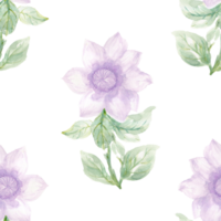 tournesol violet violet aquarelle minimal fleur botanique sans couture modèle png