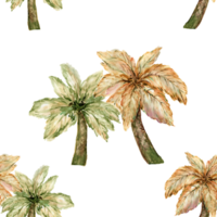 Kokosnuss Baum Aquarell minimal Blume botanisch nahtlos Muster png