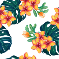 Hibiscus Frangipani blooming background repeat summer beach png