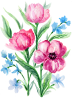 Watercolor pink Anemone and blue flower hand drawn floral illustration png