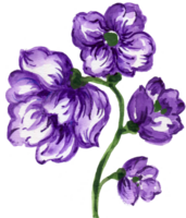 púrpura Violeta flor florecer pétalo brote png