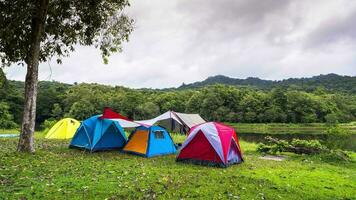 acampamento tendas em verde Relva fileld video