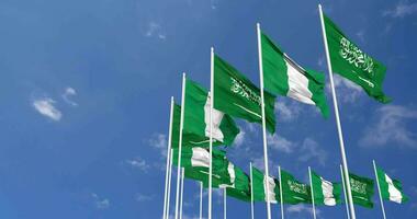 Nigeria and KSA, Kingdom of Saudi Arabia Flags Waving Together in the Sky, Seamless Loop in Wind, Space on Left Side for Design or Information, 3D Rendering video