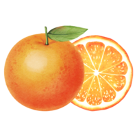 naranja con hojas png