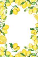 citron Cadre modèle png