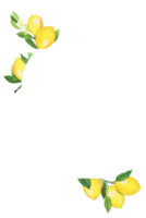 citron- ram mönster png