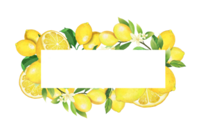 citron Cadre modèle png