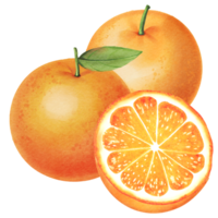 laranja com folhas png