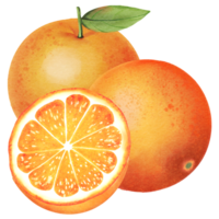 laranja com folhas png