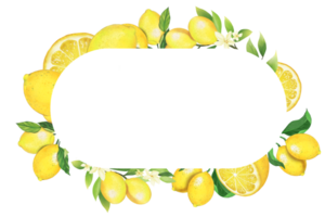 lemon frame pattern png