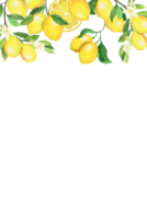 lemon frame pattern png