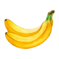 acuarela ilustración. dos maduro plátanos acuarela ilustración. bananas mano dibujado en acuarela en un transparente antecedentes. adecuado para impresión en tela y papel, cocina y textiles png