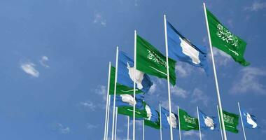 Antártida y ksa, Reino de saudi arabia banderas ondulación juntos en el cielo, sin costura lazo en viento, espacio en izquierda lado para diseño o información, 3d representación video
