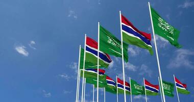 Gambia and KSA, Kingdom of Saudi Arabia Flags Waving Together in the Sky, Seamless Loop in Wind, Space on Left Side for Design or Information, 3D Rendering video