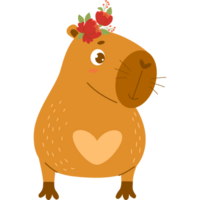 enamored capybara girl png