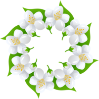 flor jasmim ilustração png