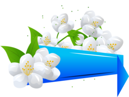 blomma jasmin illustration png