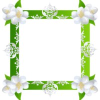 flor jazmín ilustración png