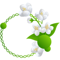 Blume Jasmin Illustration png