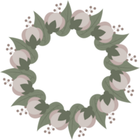 fiore gelsomino illustrazione png