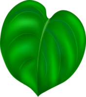 plant leaf illustration png