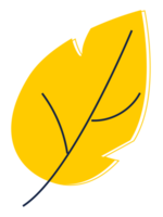 illustration de feuille de plante png