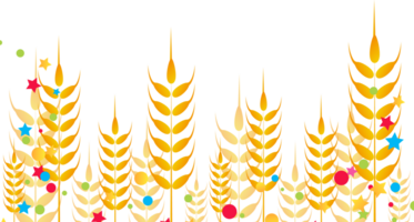 wheat harvest illustration png